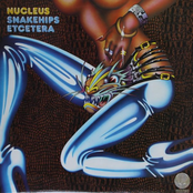 Pussyfoot by Nucleus