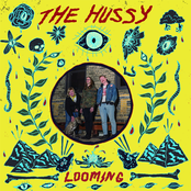 The Hussy: Looming