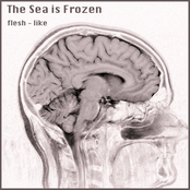 The Sea is Frozen