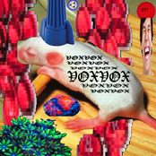 VOXVOX