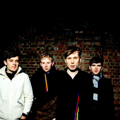 franz ferdinand