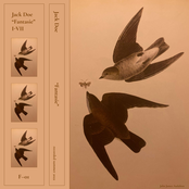 "Fantasie" (Swallows)