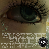 n01S: Whatever Buried Wherever