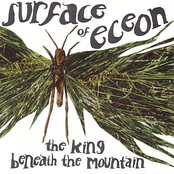 The Grasshopper King by Surface Of Eceon