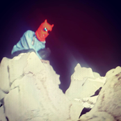 DOG in the SUN /// BOY in the Shade