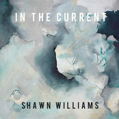 Shawn Williams: In the Current (Extended Version)