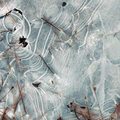 2 Autoharps, A Snowmobile, Some Snowplows, A Premature Snowblower