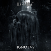 Ignotus