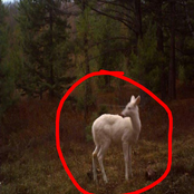 hear about it (6utchy)