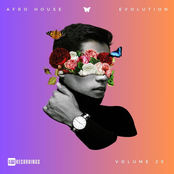 Afro House Evolution, Vol. 25