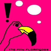 The Pink Flamingoes