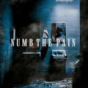 Lives Lost: NUMB THE PAIN