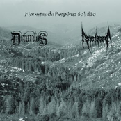 Florestas De Perpétua Solidão