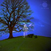 a recounting of a dream in which i was laura palmer investigating my own murder and using the great golden womb in the sky as a shortcut between crime scenes