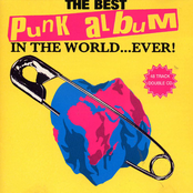 The Best Punk Album In The World Ever [Disc 2]