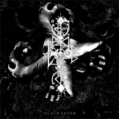 Black Fever