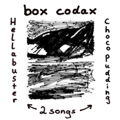 Choco Pudding by Box Codax