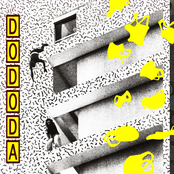 DoDoDa