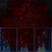 brain barricade