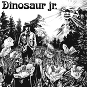 Dinosaur Album Picture