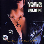 You Can't Kill Rock N' Roll