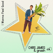 I Wanna Feel Good - Single