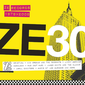 ZE30: ZE Records Story 1979-2009