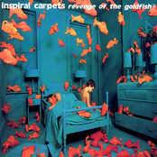 Smoking Her Clothes by Inspiral Carpets