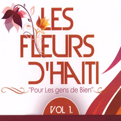 Les fleurs d'Haïti, vol. 1 (Pour les gens de bien)