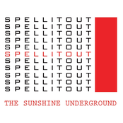 Fall In Line by The Sunshine Underground