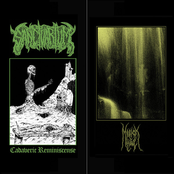 Cadaveric Reminiscense / Svlphvrnaut