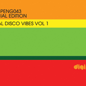 Rural Disco Vibes Vol.1