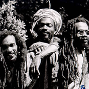 israel vibration