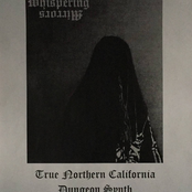 Reflections in Obsidian