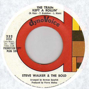 steve walker & the bold