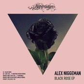 Black Rose by Alex Niggemann