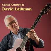 david laibman