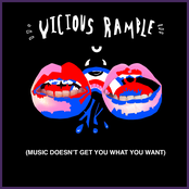 Music Doesn't Get You What You Want