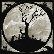 Traveller's Lament / The Bearded Fool