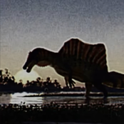 First encounter with an unknown predator