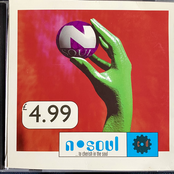 … to cherish in the Soul (N•Soul Sampler)