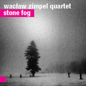 Stone Fog