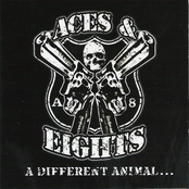aces & eights