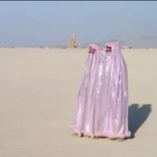 "أسلحة ضخ جاف حدب"