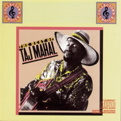 The Best of Taj Mahal, Vol. 1