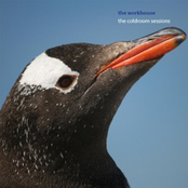 The Coldroom Session