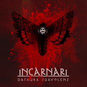 Incarnari