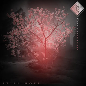 Still Hope