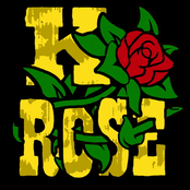 k-rose