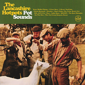 On The Box by The Lancashire Hotpots